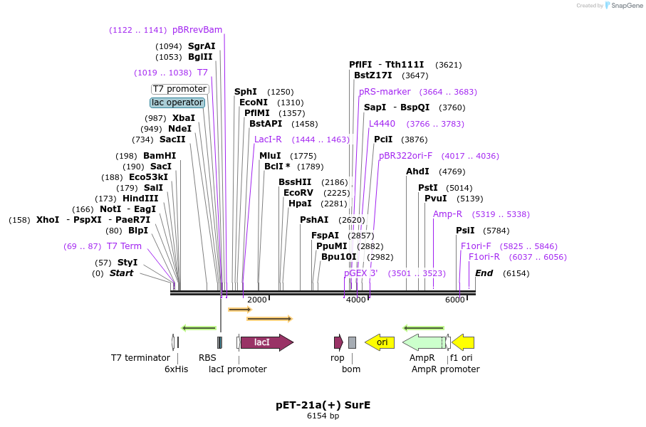 7396_map
