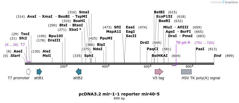 73971_map