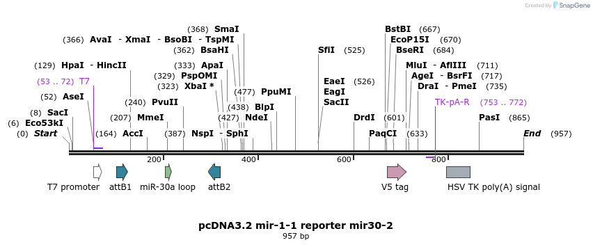 73975_map