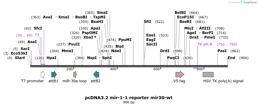 73976_map