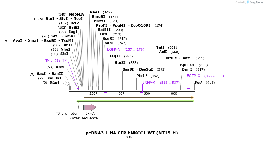 73979_map