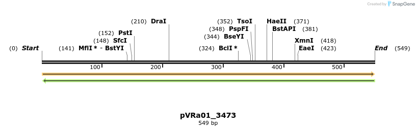 73982_map