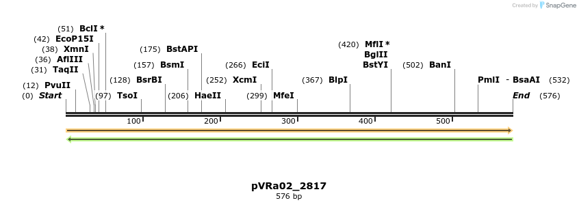 73986_map