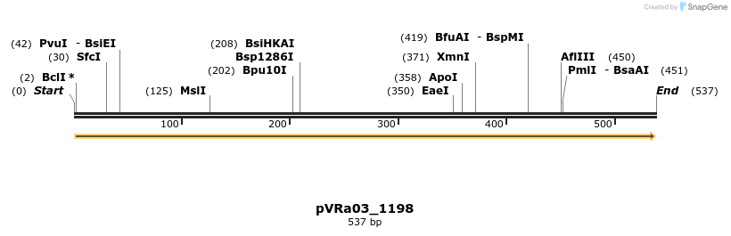 73988_map