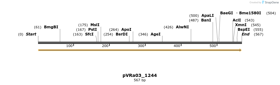 73990_map