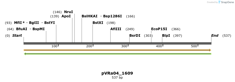 73992_map