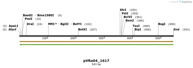 73994_map