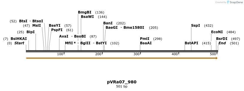 73996_map