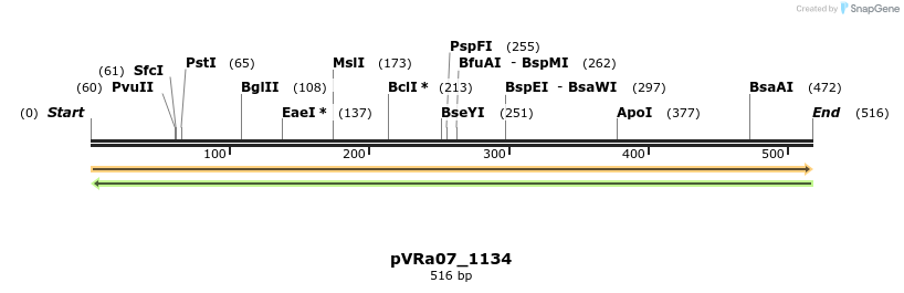 73998_map