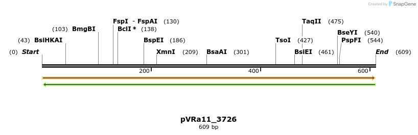 74002_map