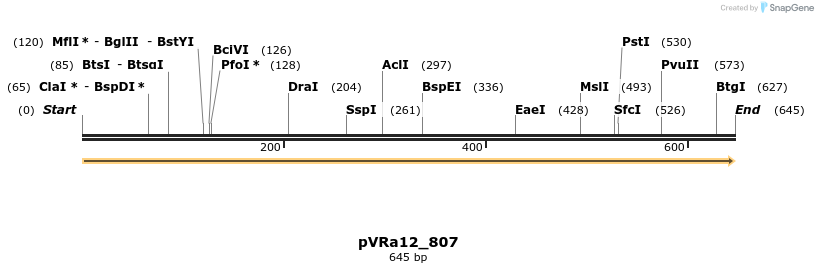 74004_map