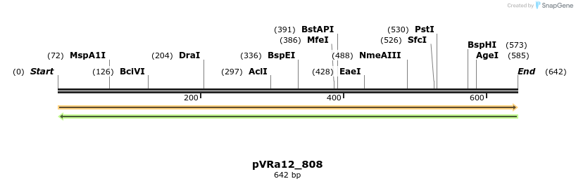 74006_map