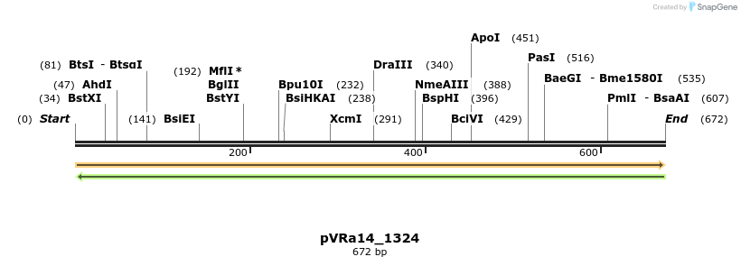 74008_map
