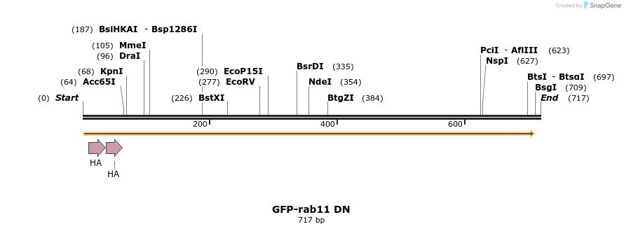 7401_map