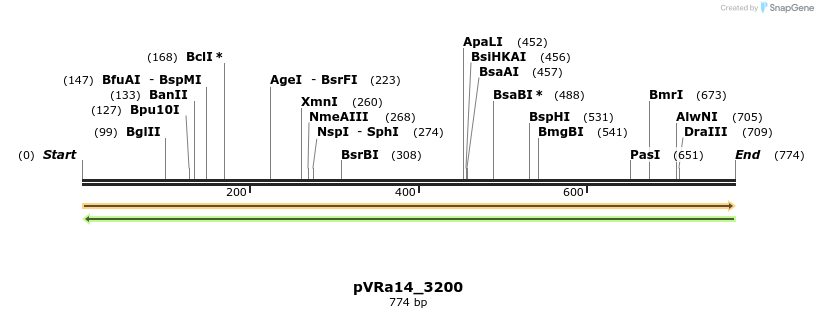74010_map