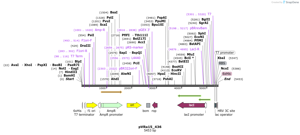 74013_map