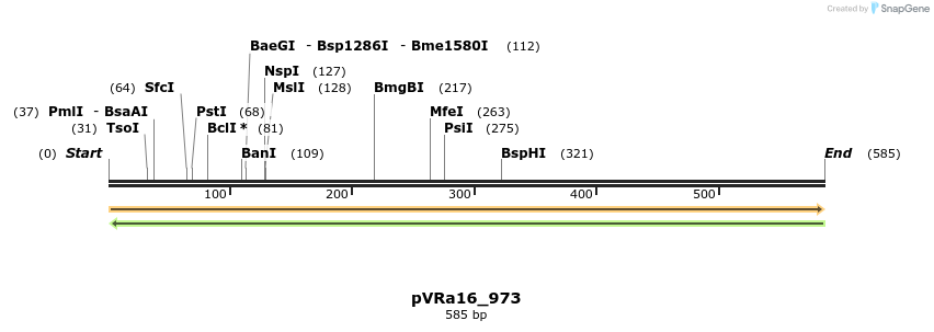 74016_map
