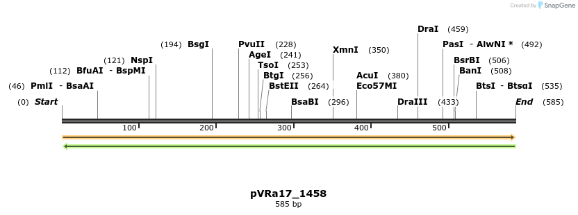 74020_map
