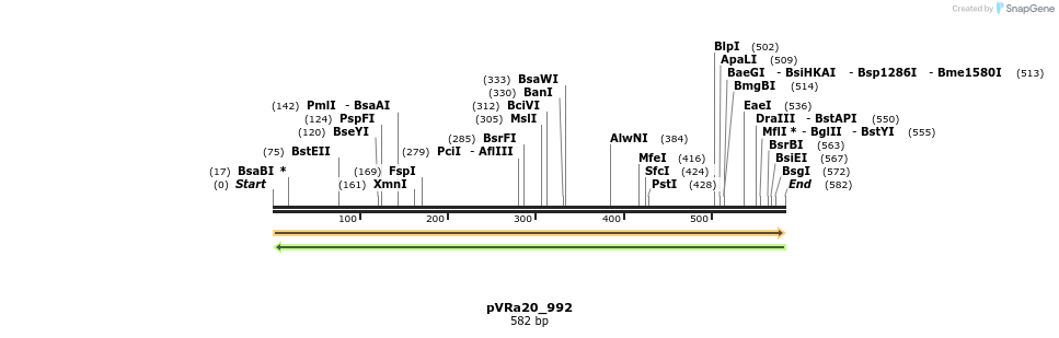 74024_map