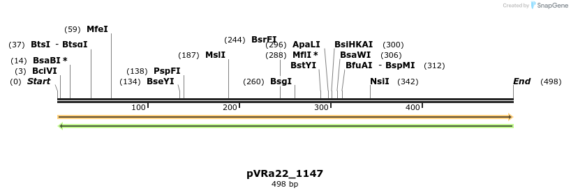 74028_map