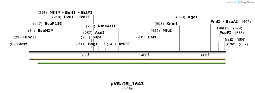 74032_map