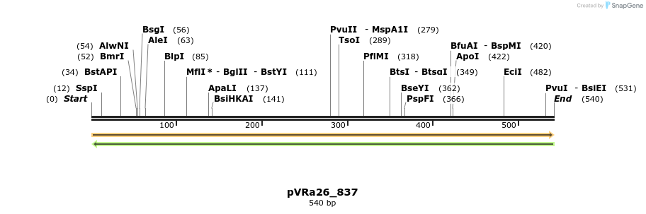 74036_map