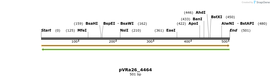 74038_map