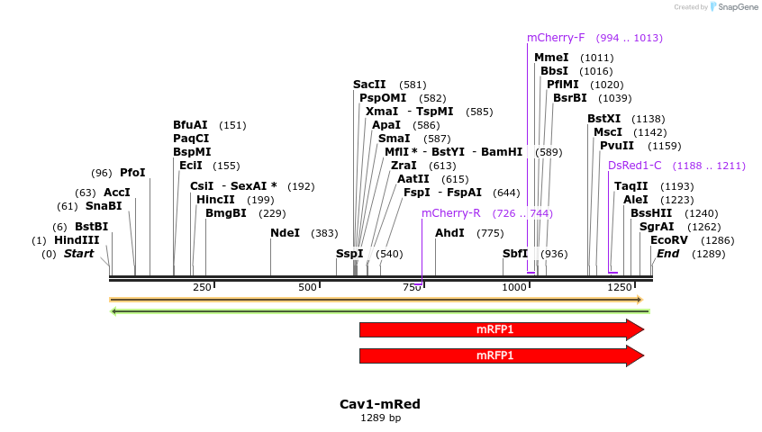 7404_map