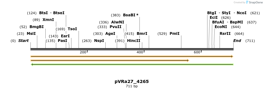 74042_map