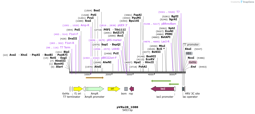 74045_map