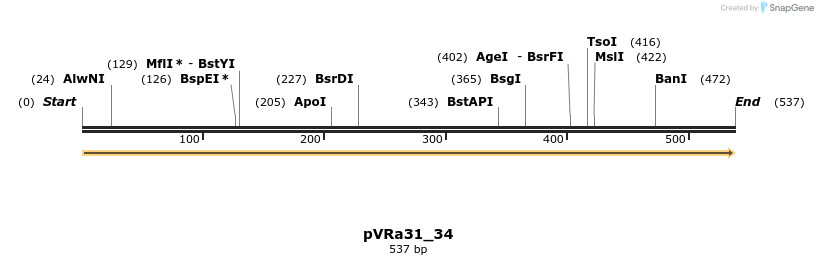 74052_map