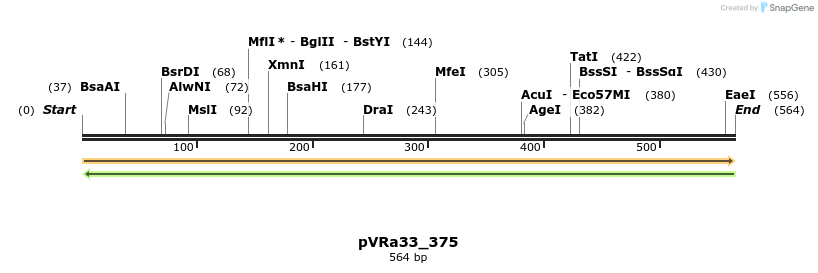 74060_map