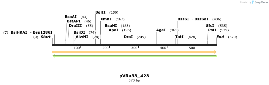 74062_map