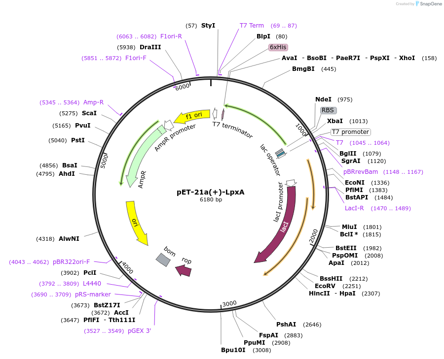 7407_map