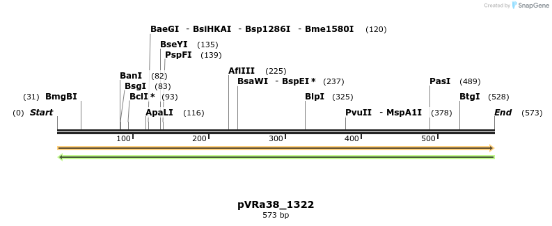 74074_map