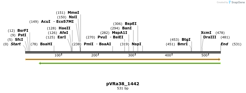 74076_map