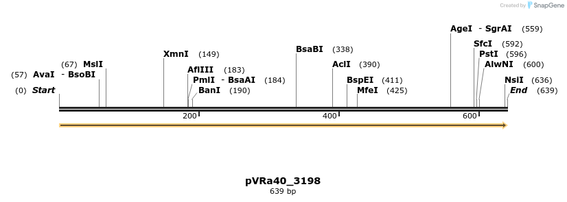 74080_map