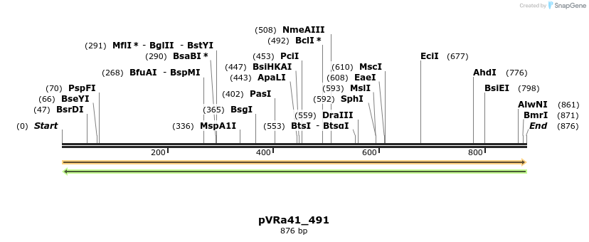 74082_map