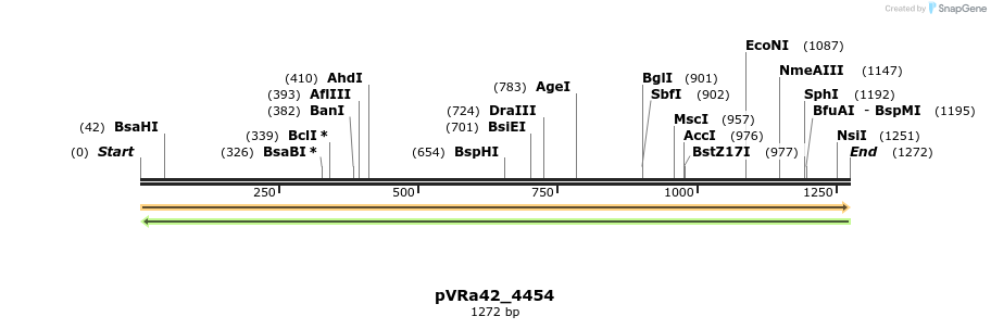 74084_map