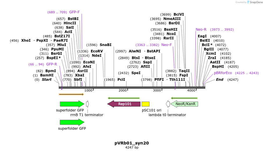 74087_map