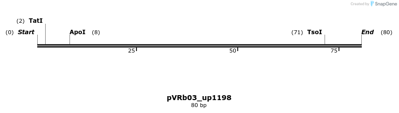 74090_map