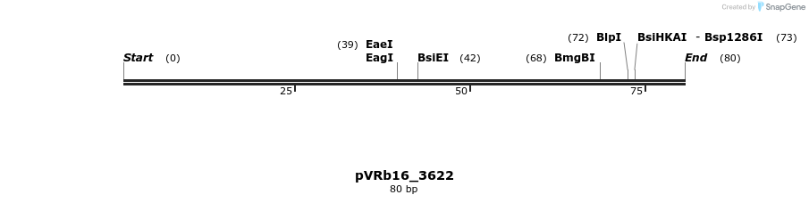 74098_map