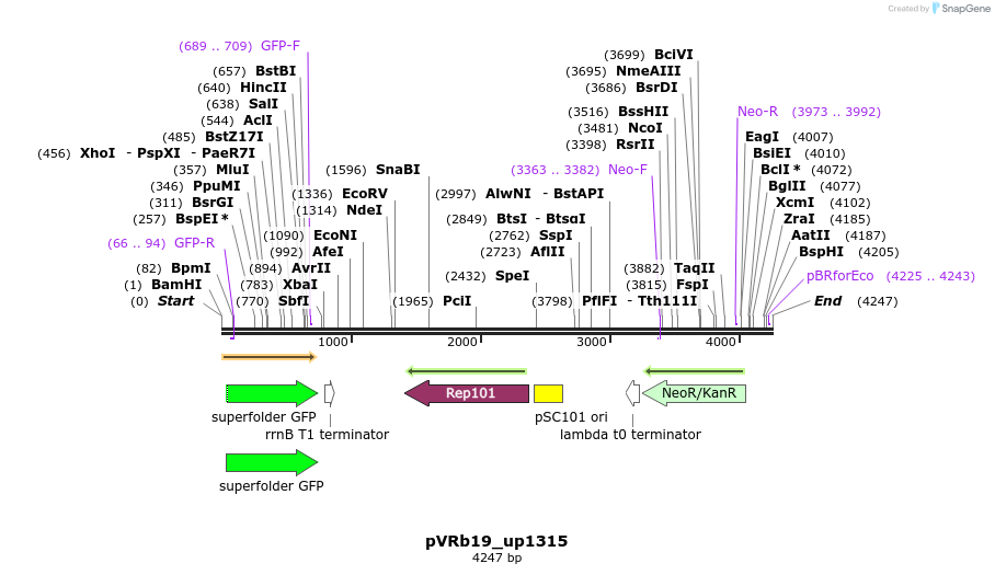74105_map