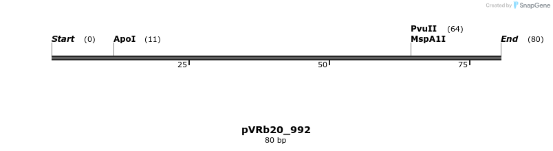 74106_map