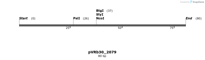 74118_map