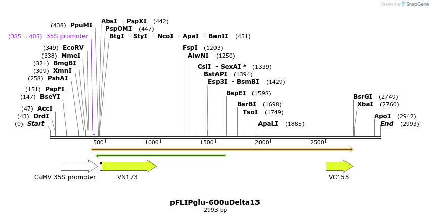 7412_map