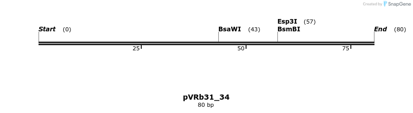 74120_map
