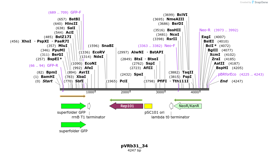 74121_map