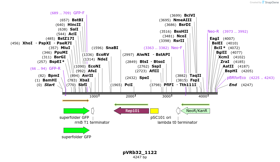 74123_map