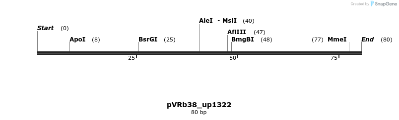 74126_map